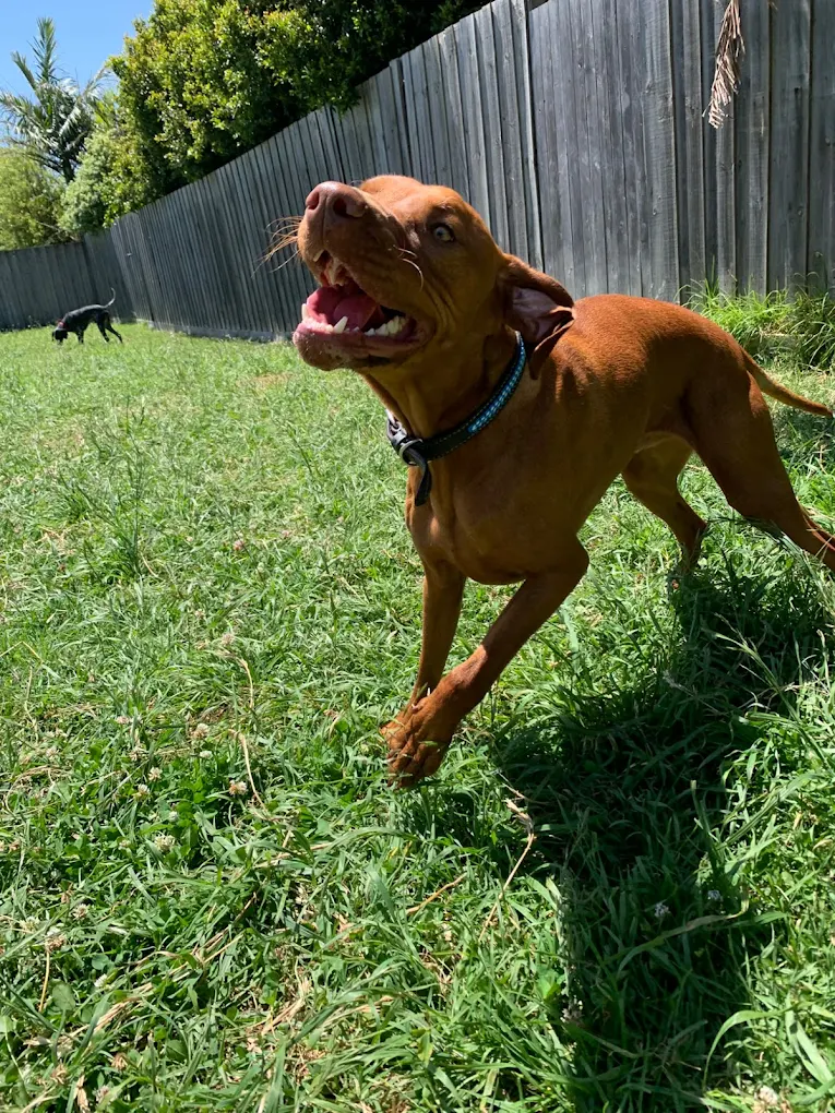 Daycare