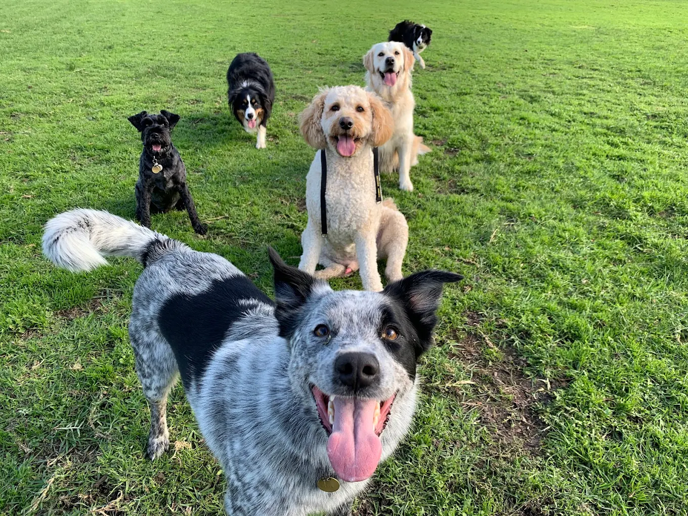 Group walk