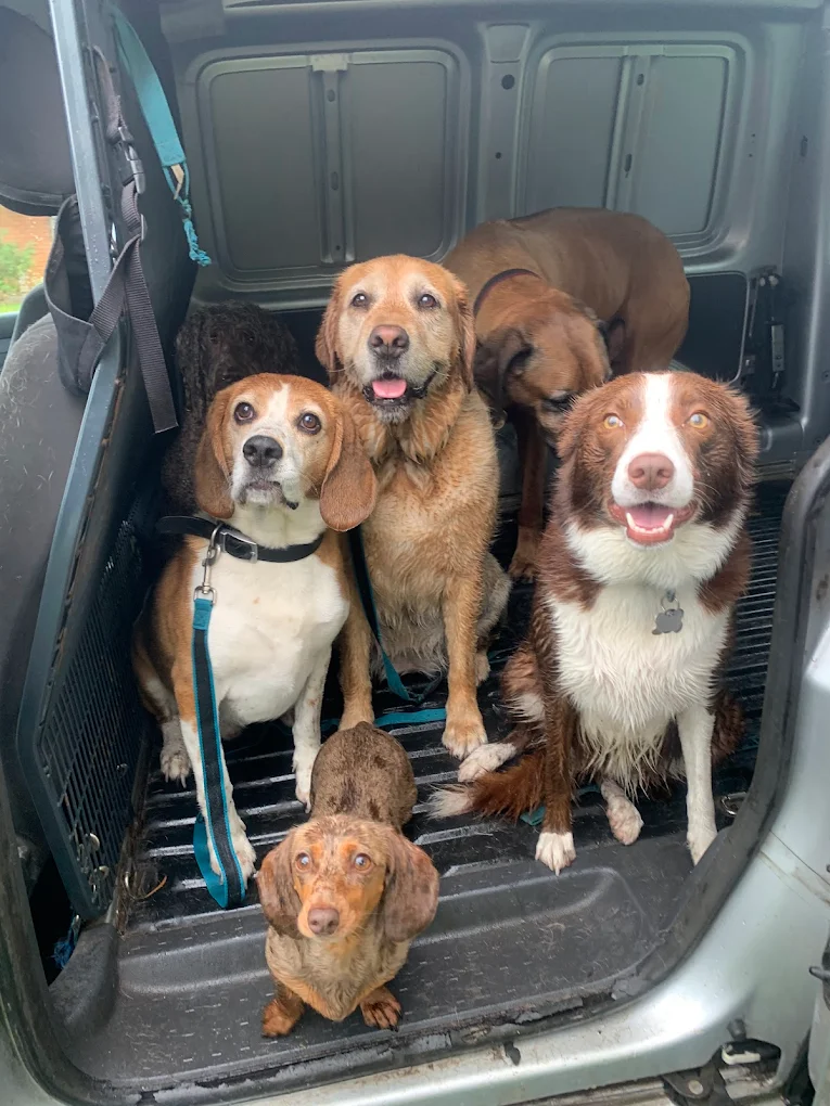 Puppy visit